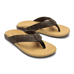 Tuahine Palm - Dk Java / Golden Sand