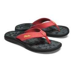 ‘Ohana - Red Acacia / Script
